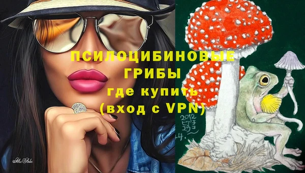 стафф Вязники