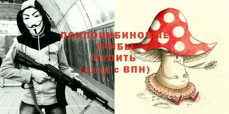 kraken ТОР  Северская  Псилоцибиновые грибы Magic Shrooms 