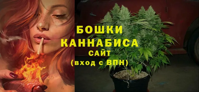 Конопля Ganja  купить наркоту  Северская 